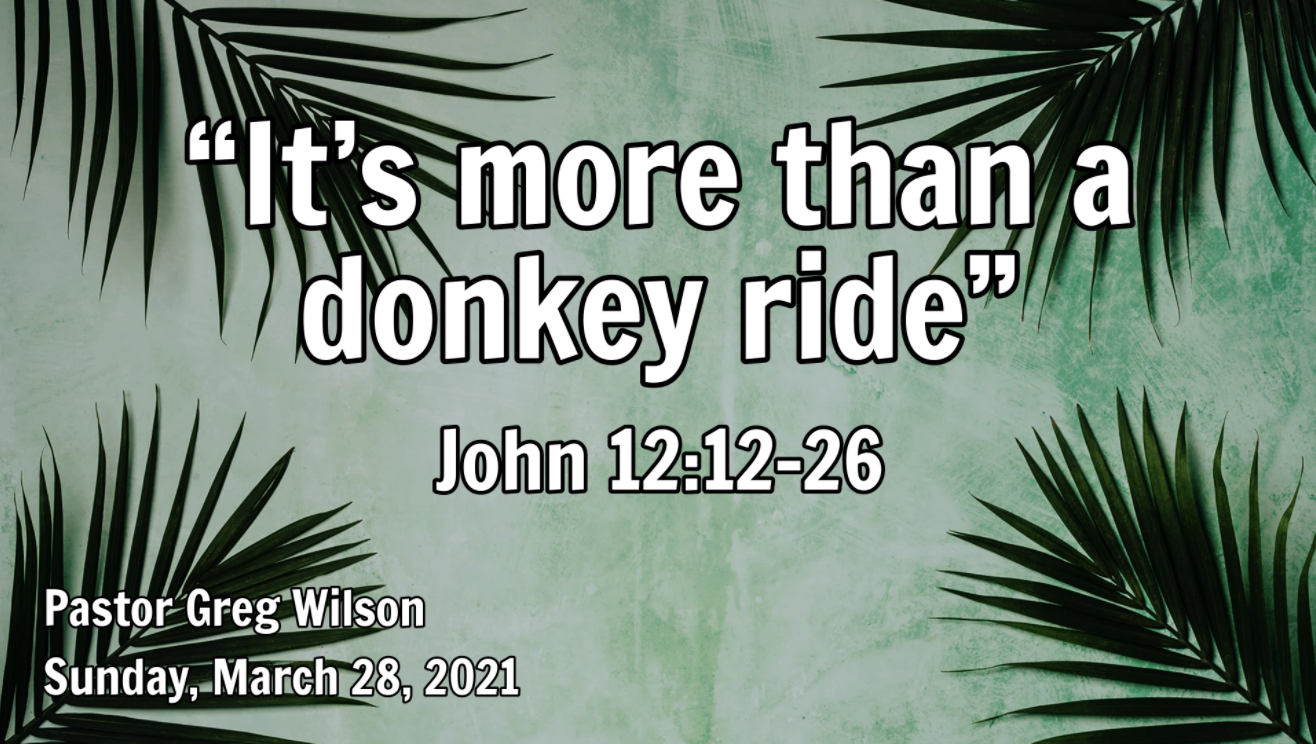 “It’s More Than A Donkey Ride”