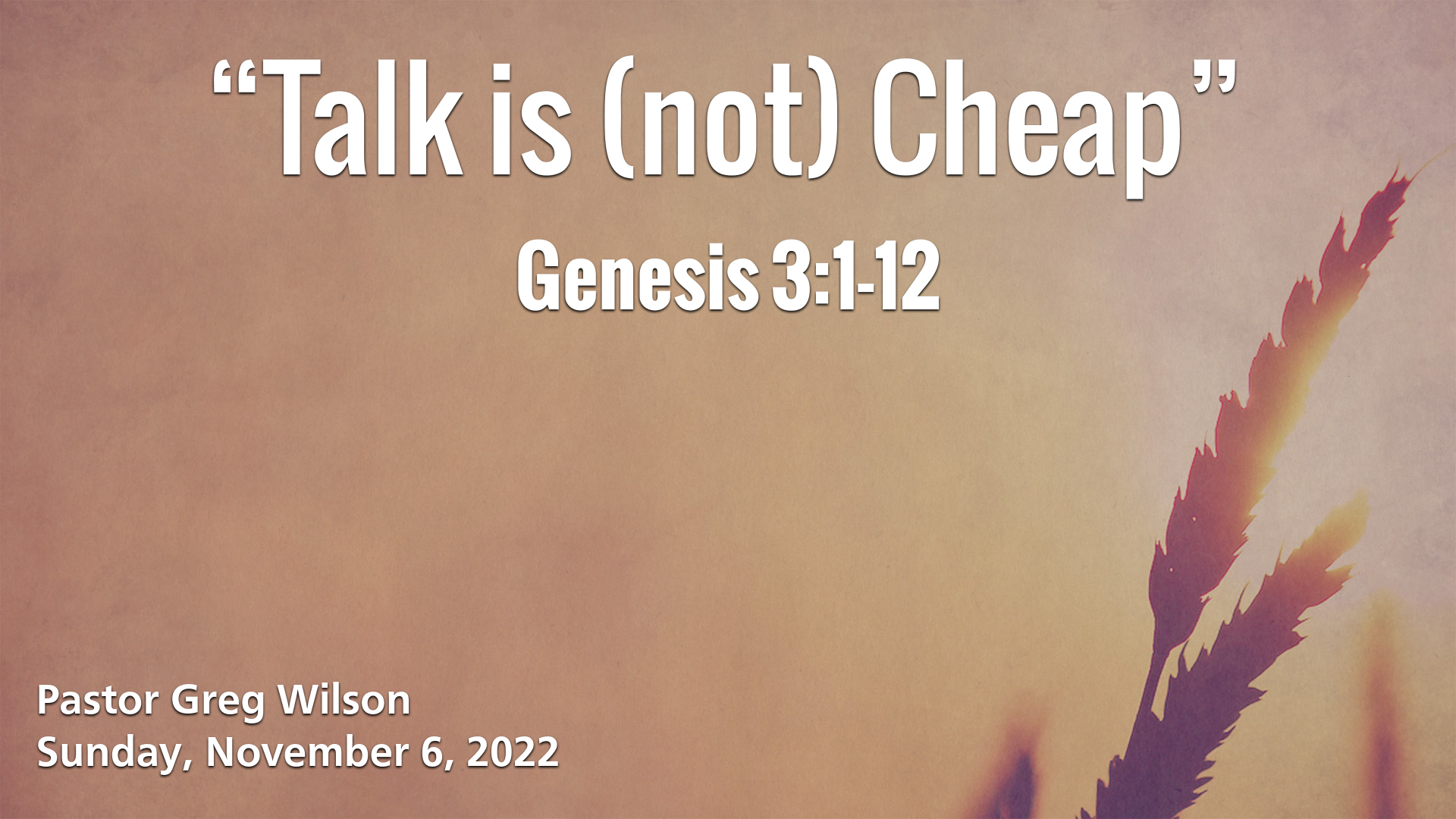 “Talk is (not) Cheap”
